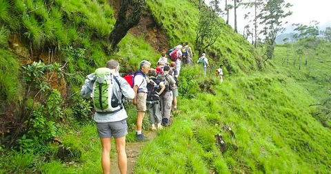 Maui Hiking Trails