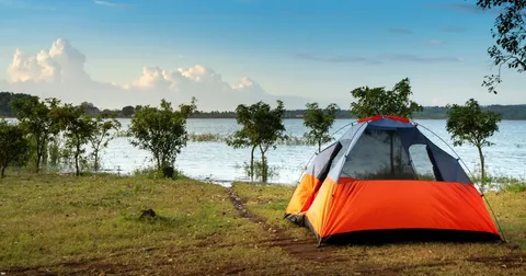 camping world