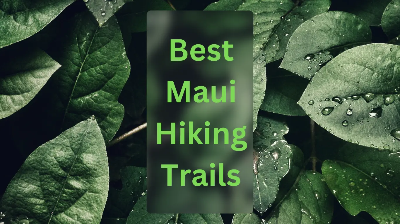 Maui Hiking Trails